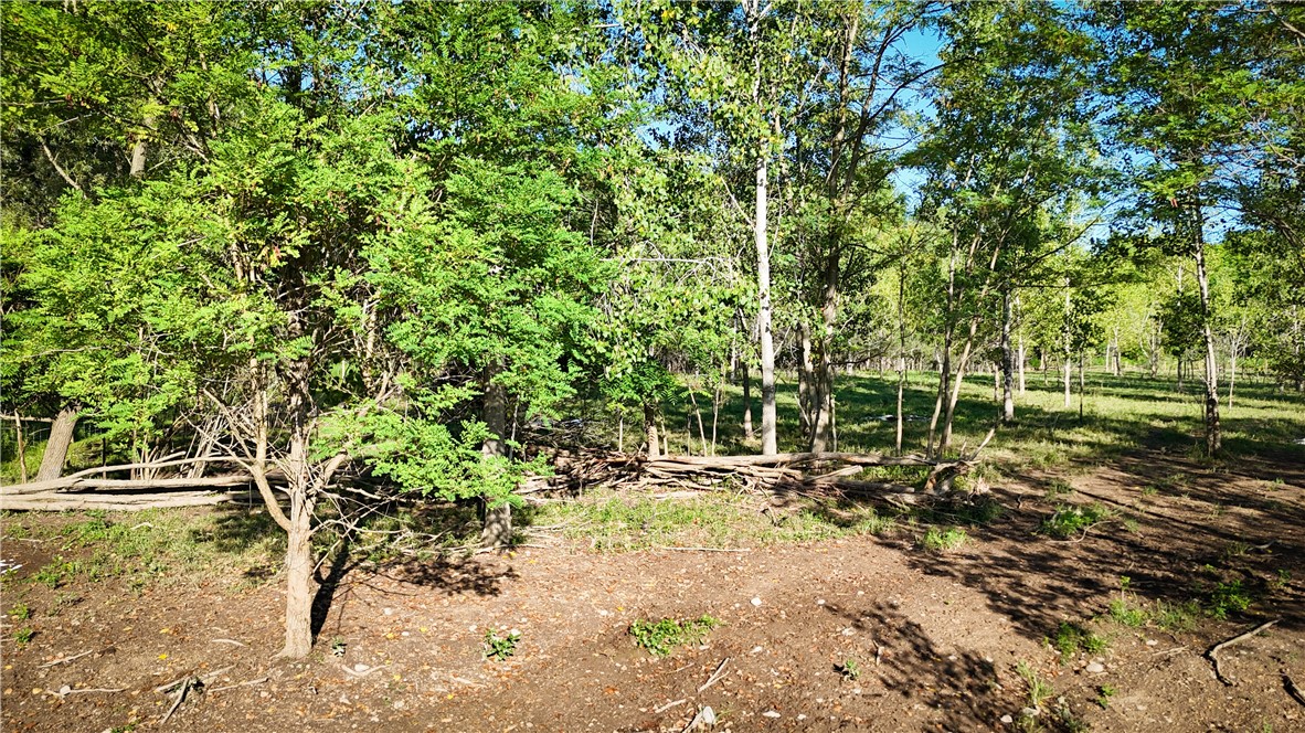 Cross Road Phelps, NY 14532 - Photo 32 of 47