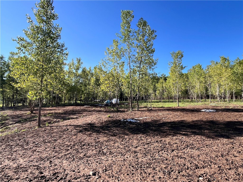 Cross Road Phelps, NY 14532 - Photo 36 of 47