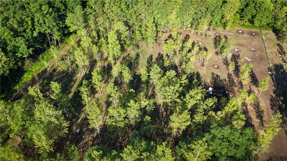 Cross Road Phelps, NY 14532 - Photo 40 of 47