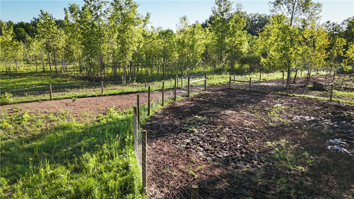 Cross Road Phelps, NY 14532 - Photo 8 of 47