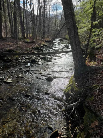 $85,900 | 1720 Augur Hole Road, Marlboro, VT 05301