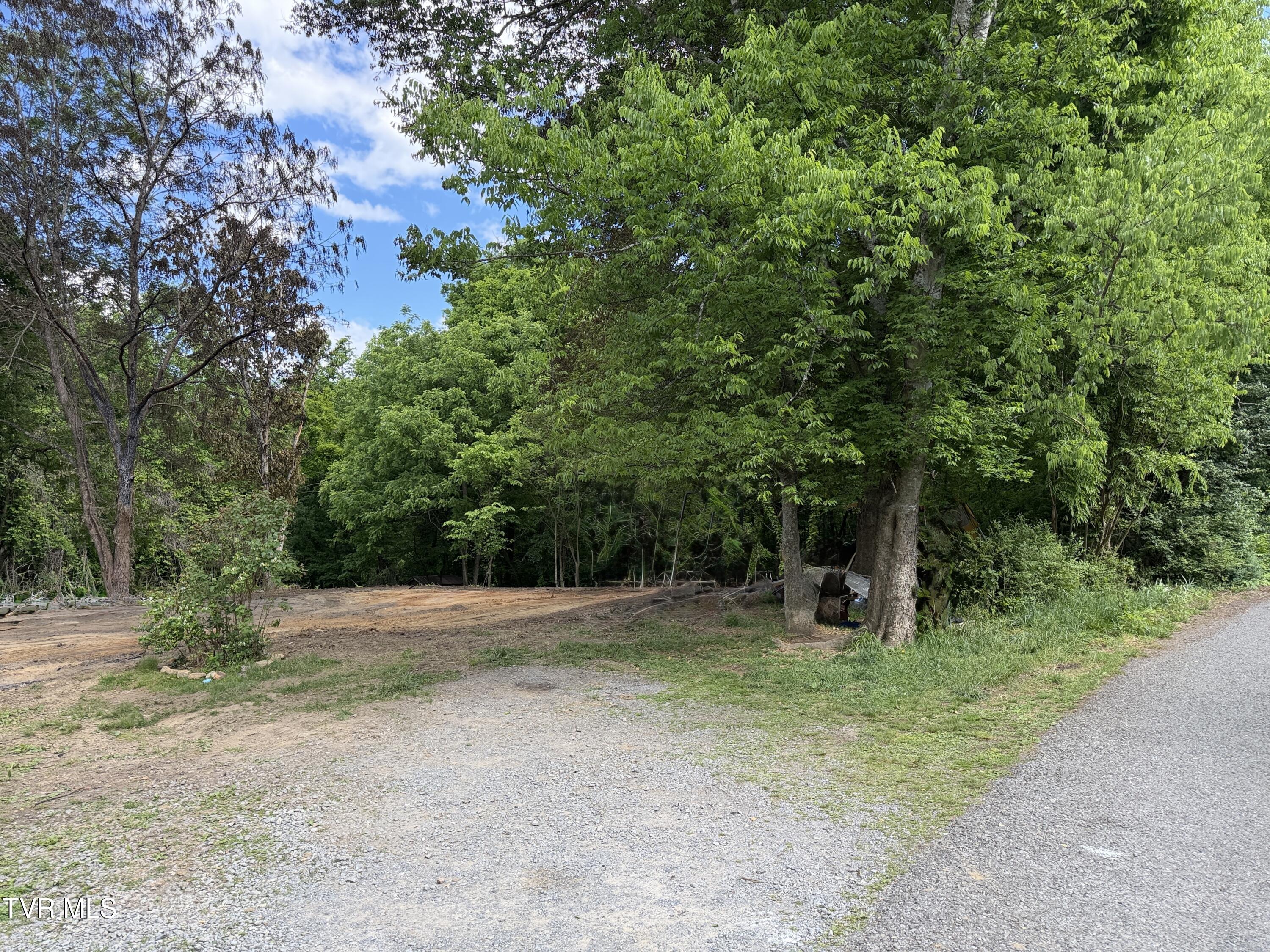 316 Wiley Town Road Newport, TN 37821 - Photo 1 of 18 IMG_2511 2