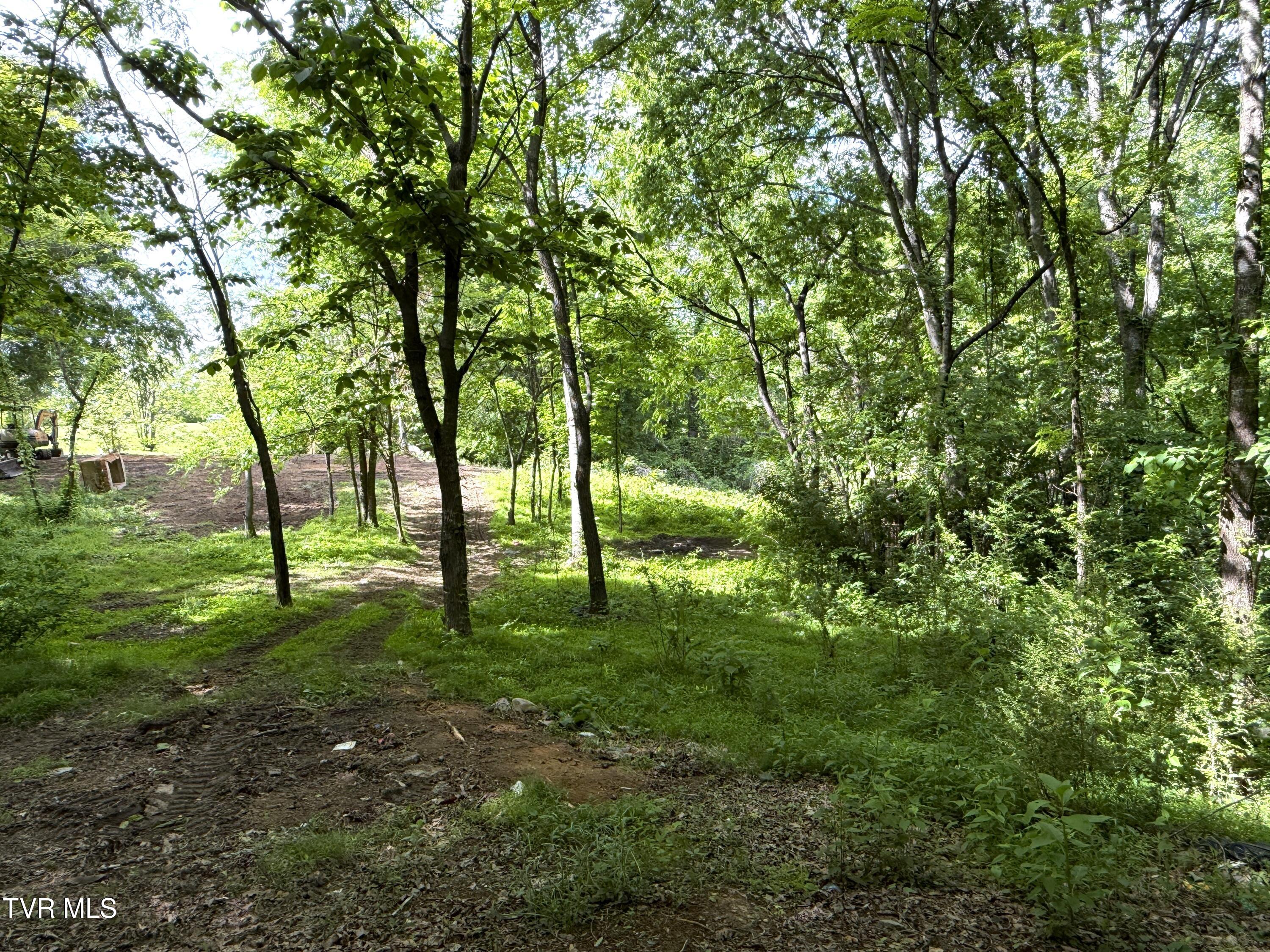 316 Wiley Town Road Newport, TN 37821 - Photo 11 of 18 IMG_2525