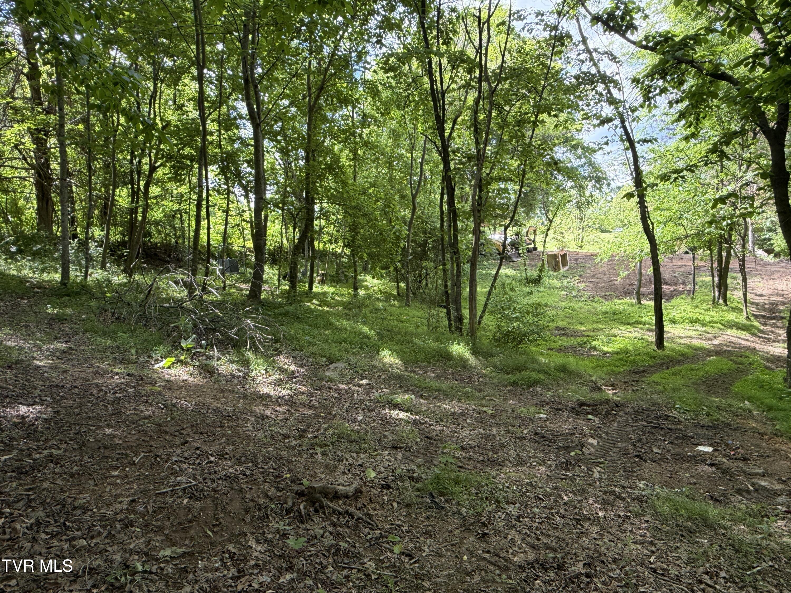 316 Wiley Town Road Newport, TN 37821 - Photo 12 of 18 IMG_2526