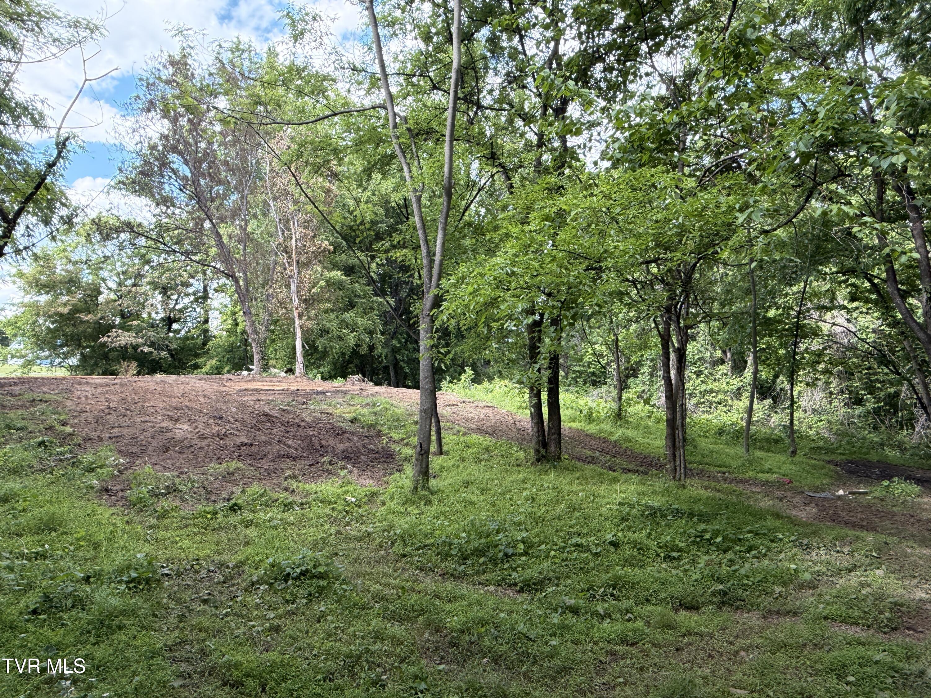 316 Wiley Town Road Newport, TN 37821 - Photo 13 of 18 IMG_2527