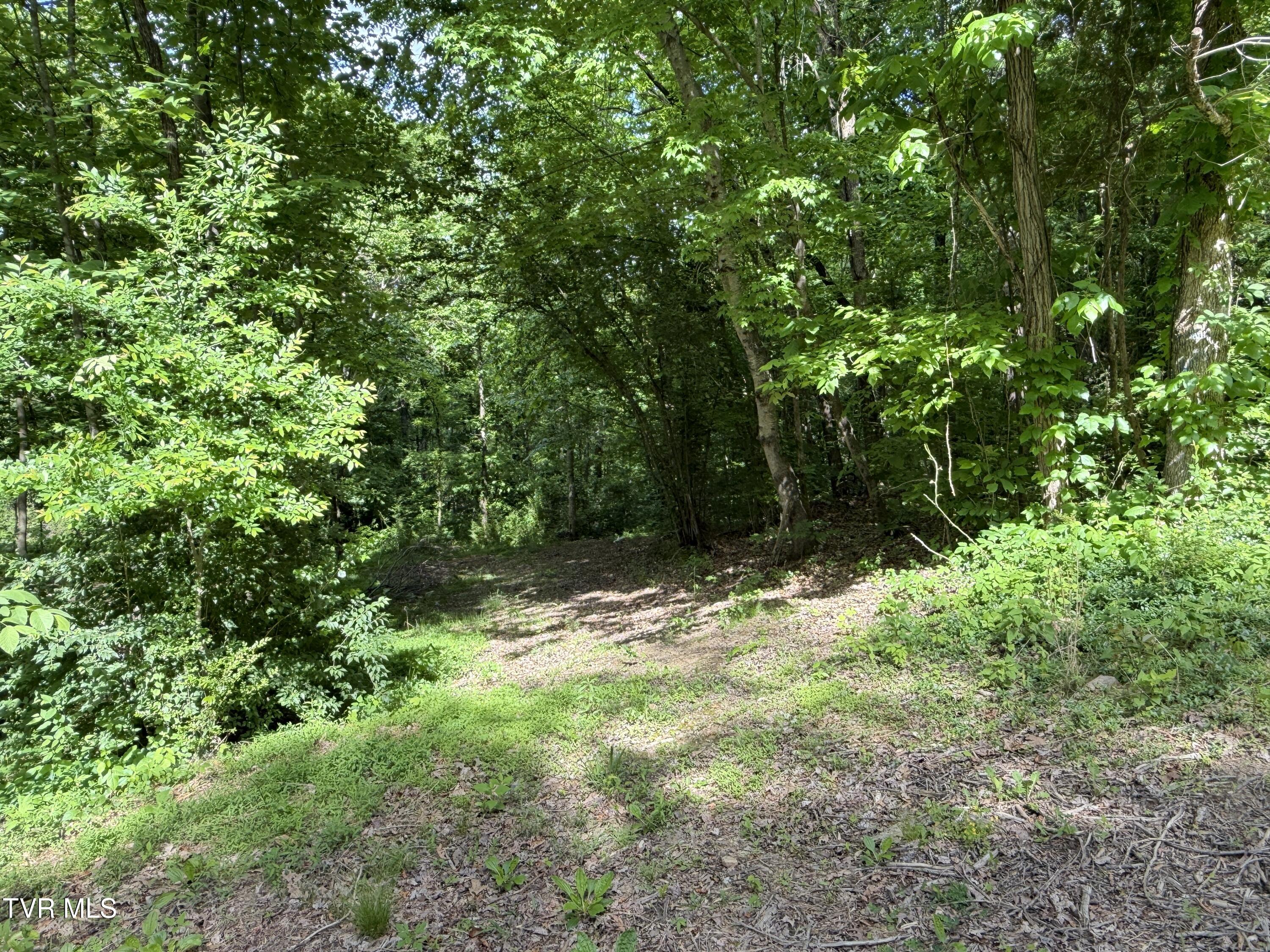 316 Wiley Town Road Newport, TN 37821 - Photo 14 of 18 IMG_2521
