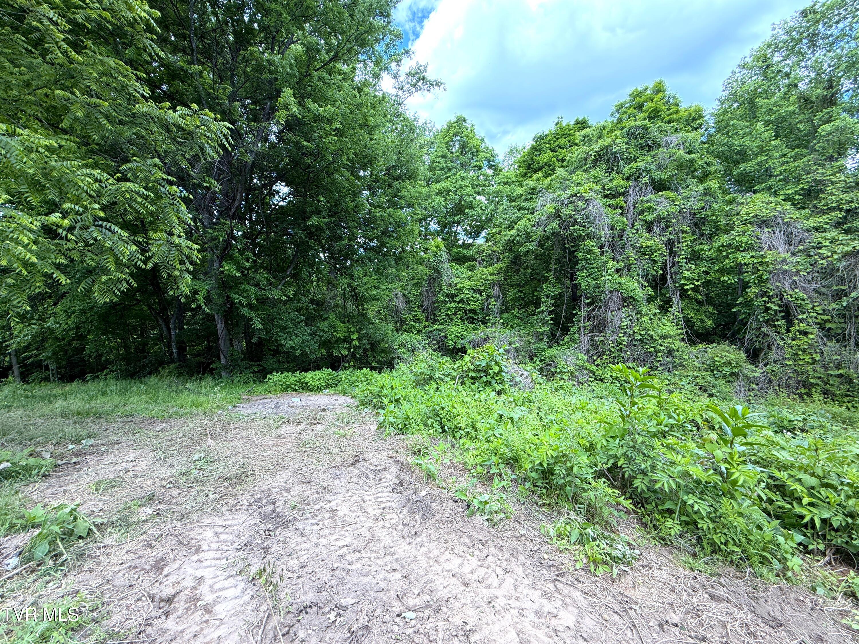 316 Wiley Town Road Newport, TN 37821 - Photo 15 of 18 IMG_2529