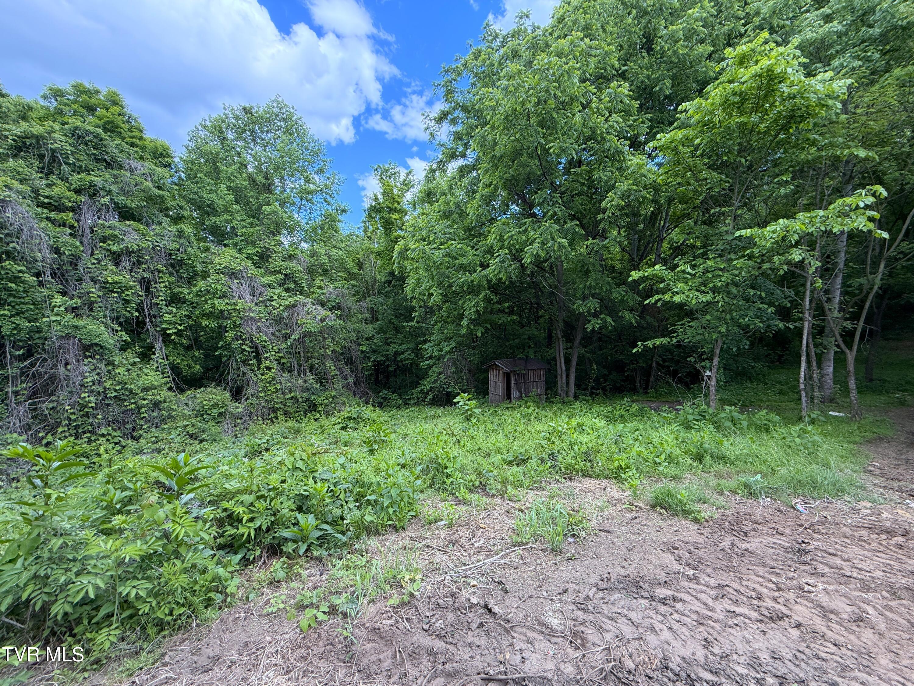 316 Wiley Town Road Newport, TN 37821 - Photo 16 of 18 IMG_2530