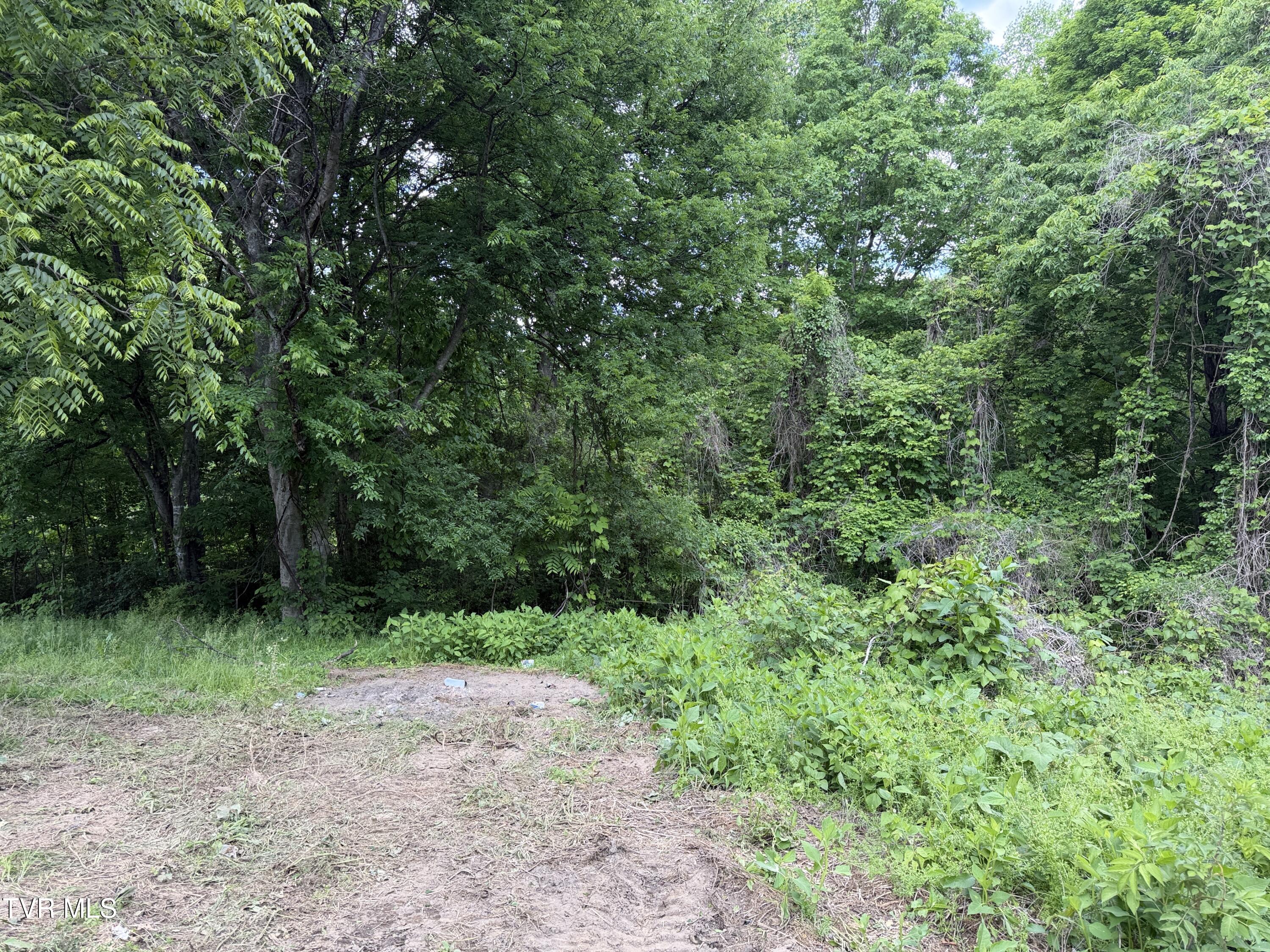 316 Wiley Town Road Newport, TN 37821 - Photo 17 of 18 IMG_2528