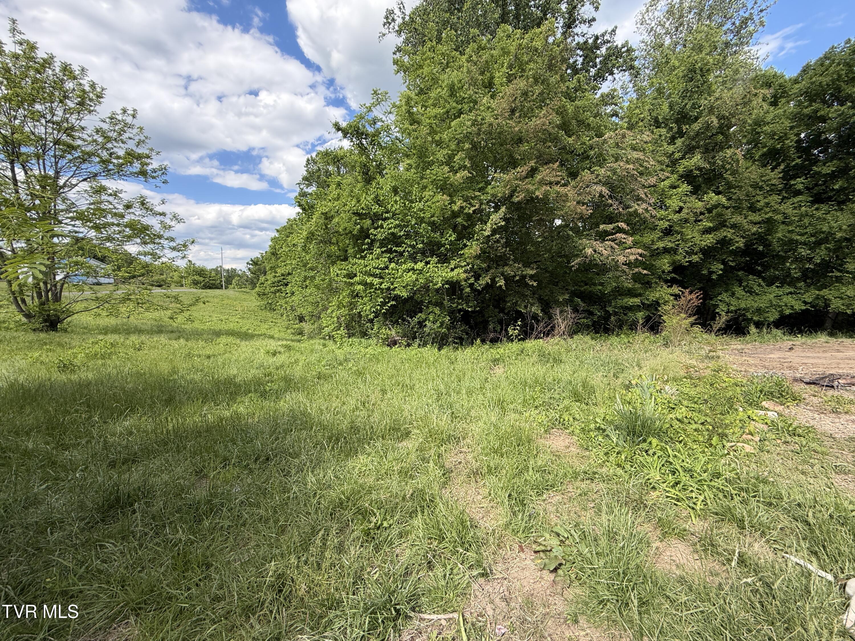 316 Wiley Town Road Newport, TN 37821 - Photo 2 of 18 IMG_2512