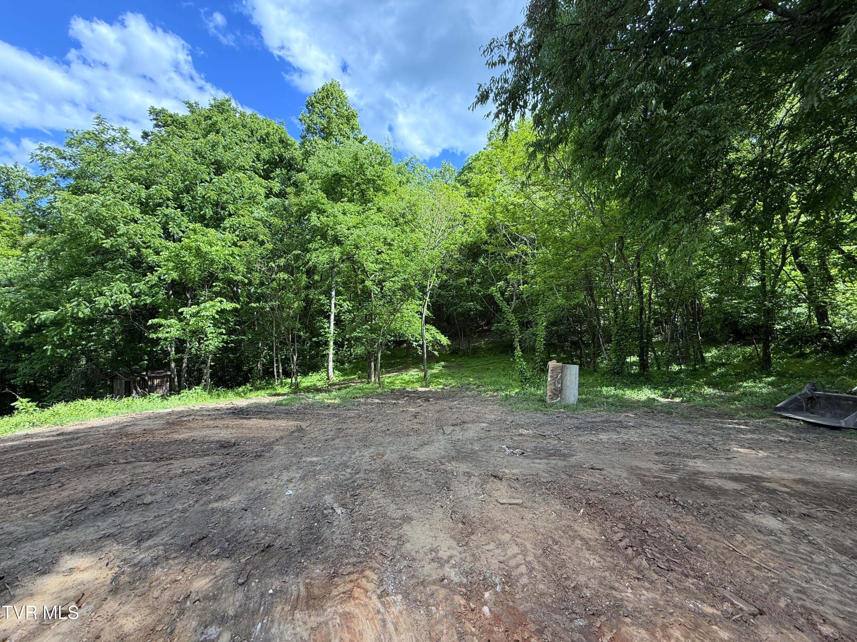 316 Wiley Town Road Newport, TN 37821 - Photo 5 of 18 IMG_2516