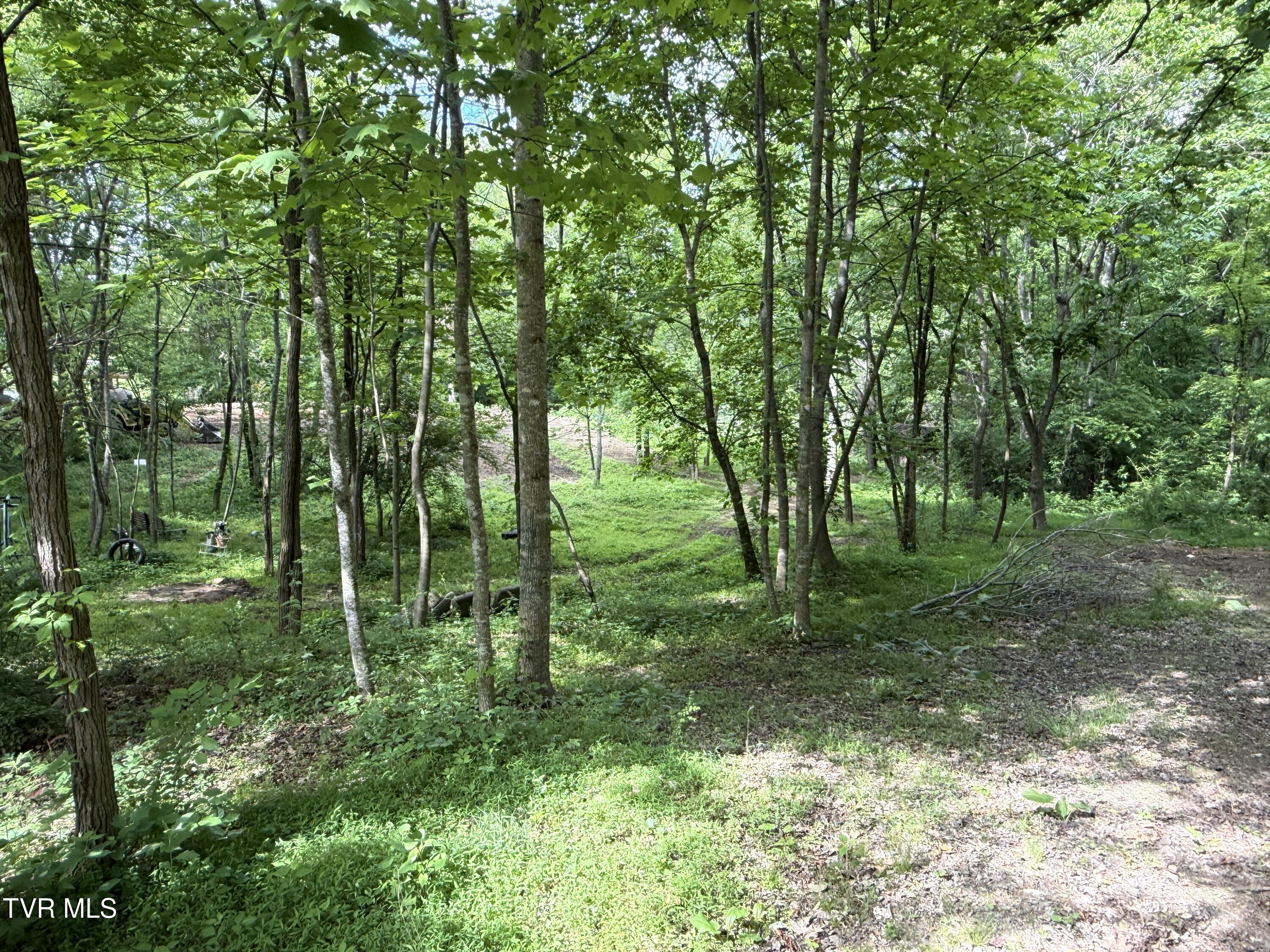 316 Wiley Town Road Newport, TN 37821 - Photo 8 of 18 IMG_2522