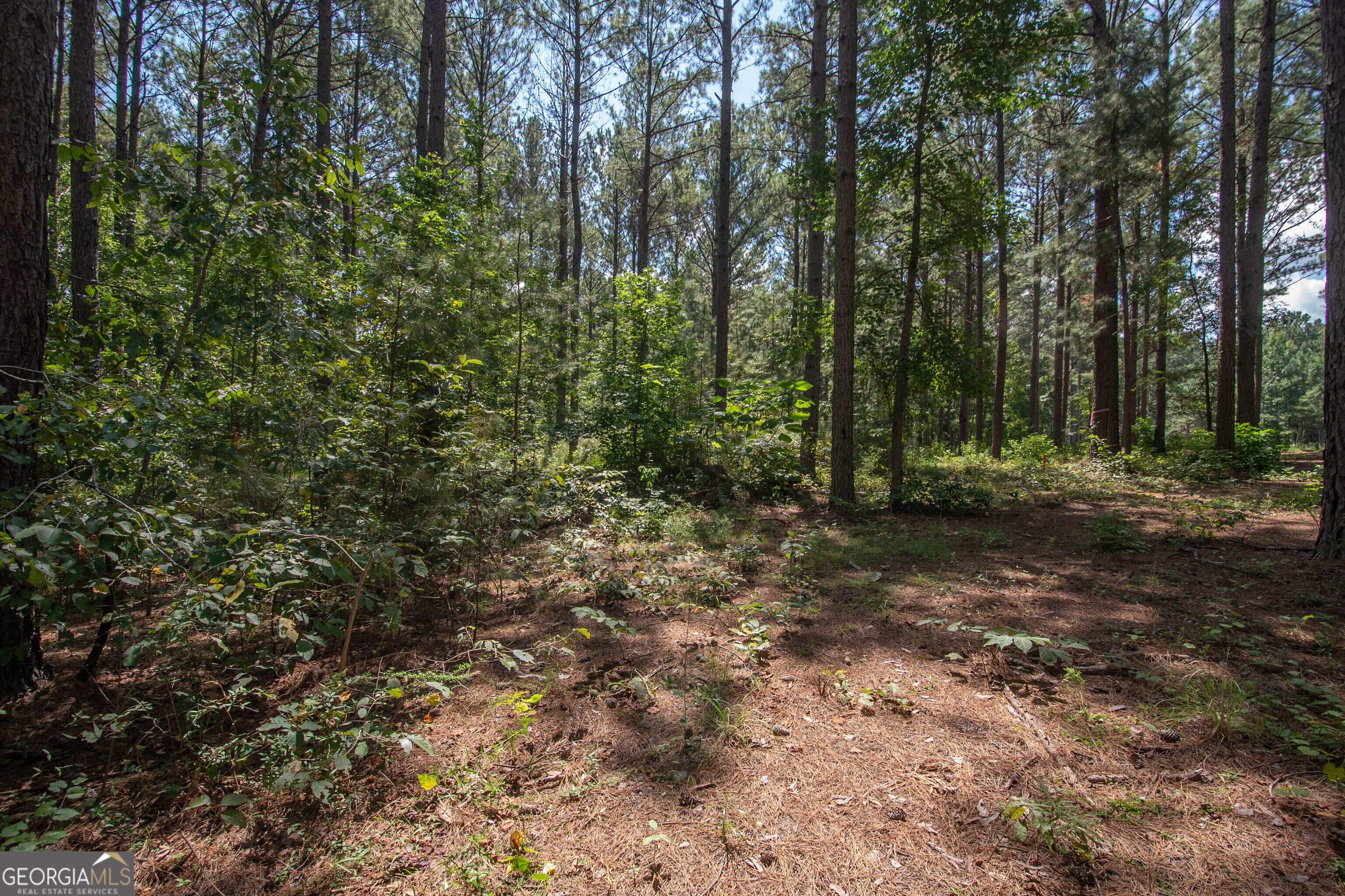 4079 Primrose Road Grantville, GA 30220 - Photo 46 of 47 Gallery Image 46