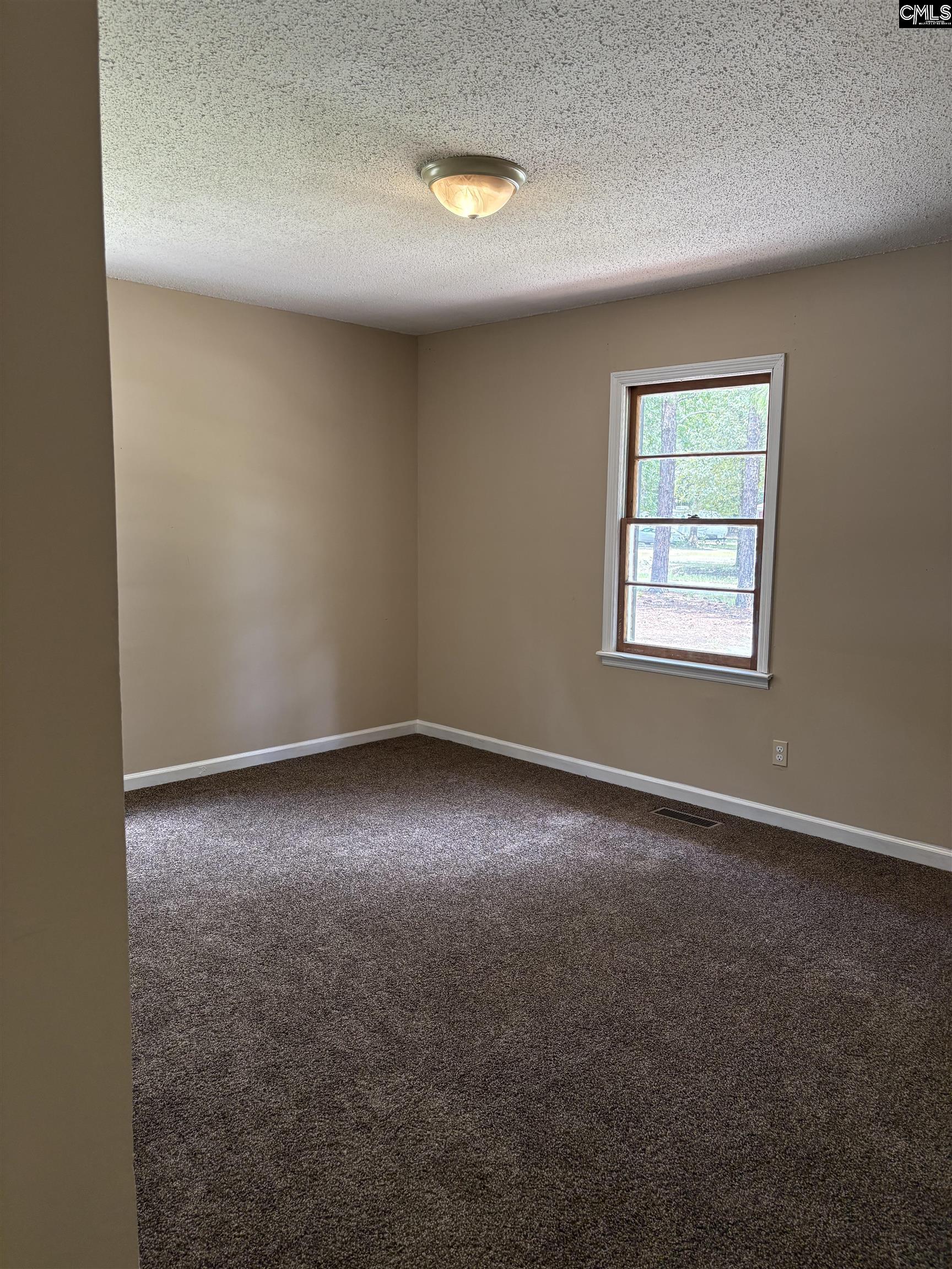 3124 Pine Plain Road Swansea, SC 29160 - Photo 14 of 14 an empty room with windows