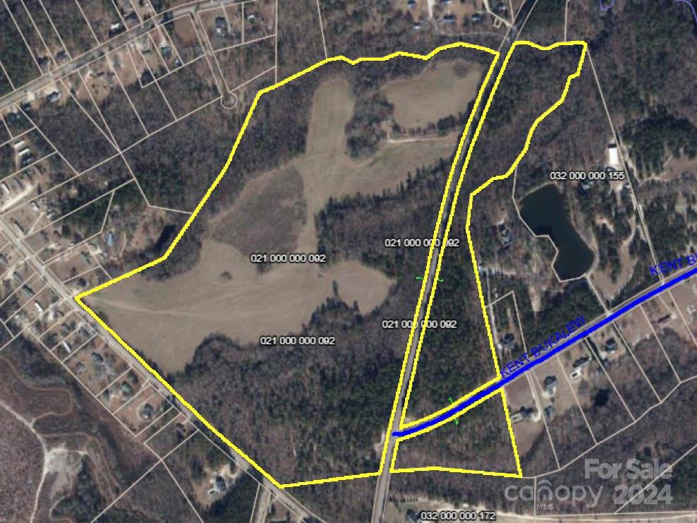 Tbd South Arant Street Pageland, SC 29728 - Photo 3 of 5