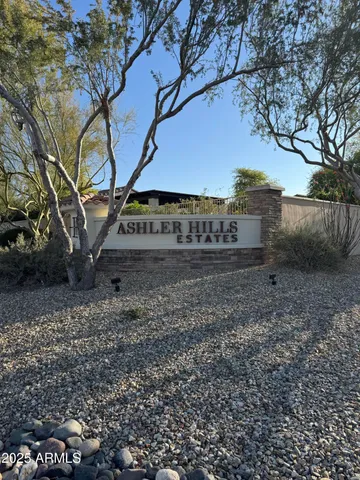 a view of a yard with a tree