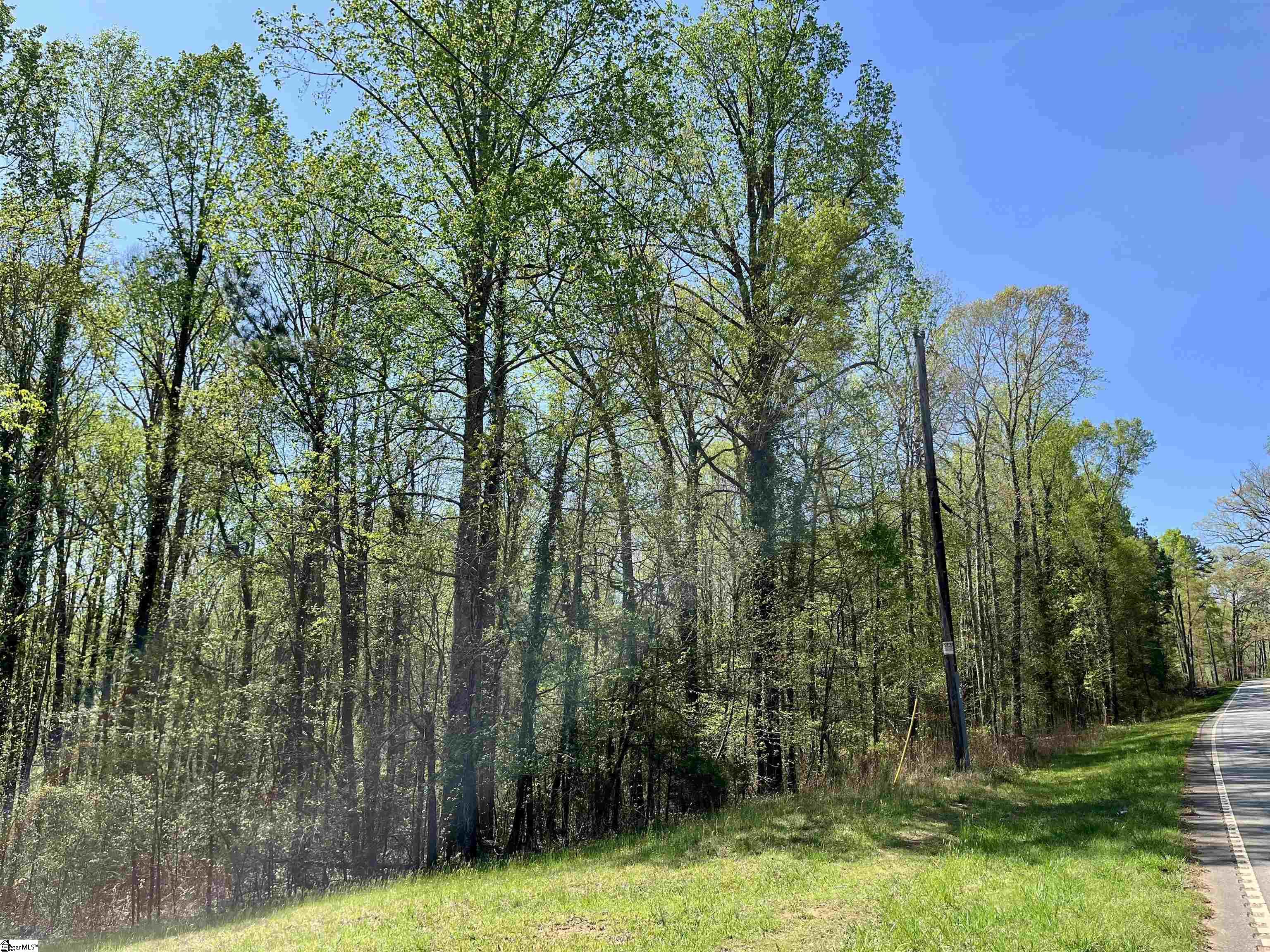 320 St Paul Road Easley, SC 29642 - Photo 3 of 5