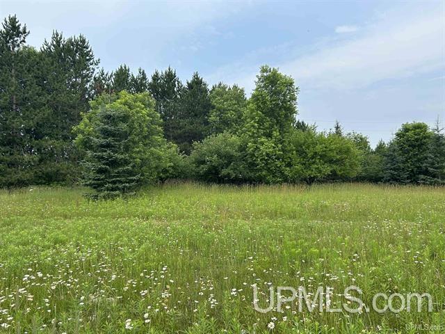 3907 Nykanen Road Chatham, MI 49816 - Photo 50 of 56 Gallery Image 50