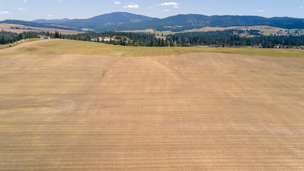 13507 East Gibbs Road Mica, WA 99023 - Photo 2 of 12