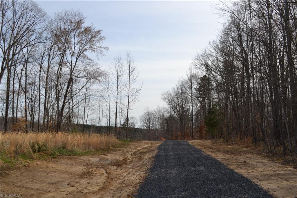 0 Frye Road Stoneville, NC 27048 - Photo 3 of 13 Gallery Image 3