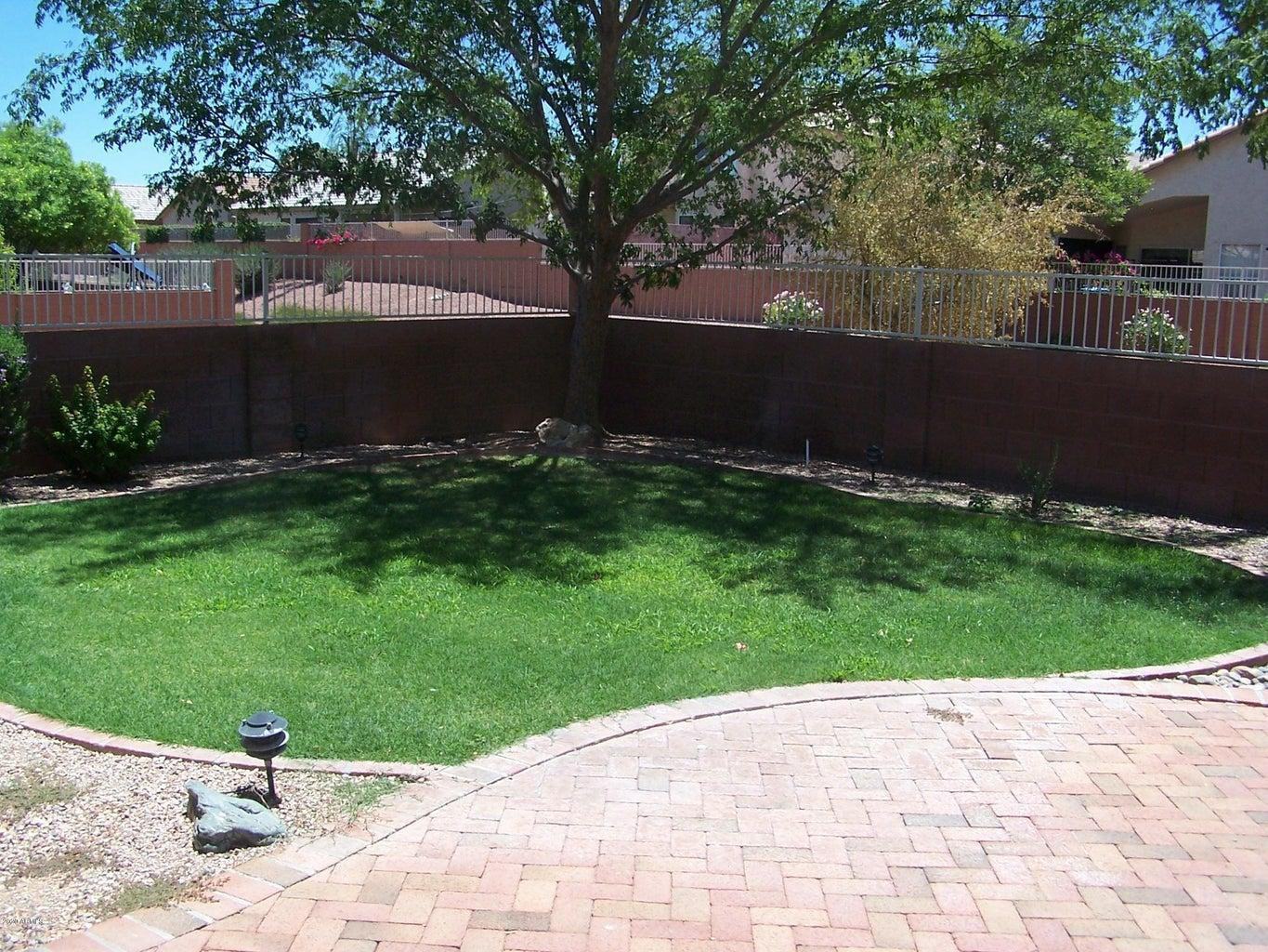 16645 North 19th Street Phoenix, AZ 85022 - Photo 11 of 11 a backyard of a house with lots of green space
