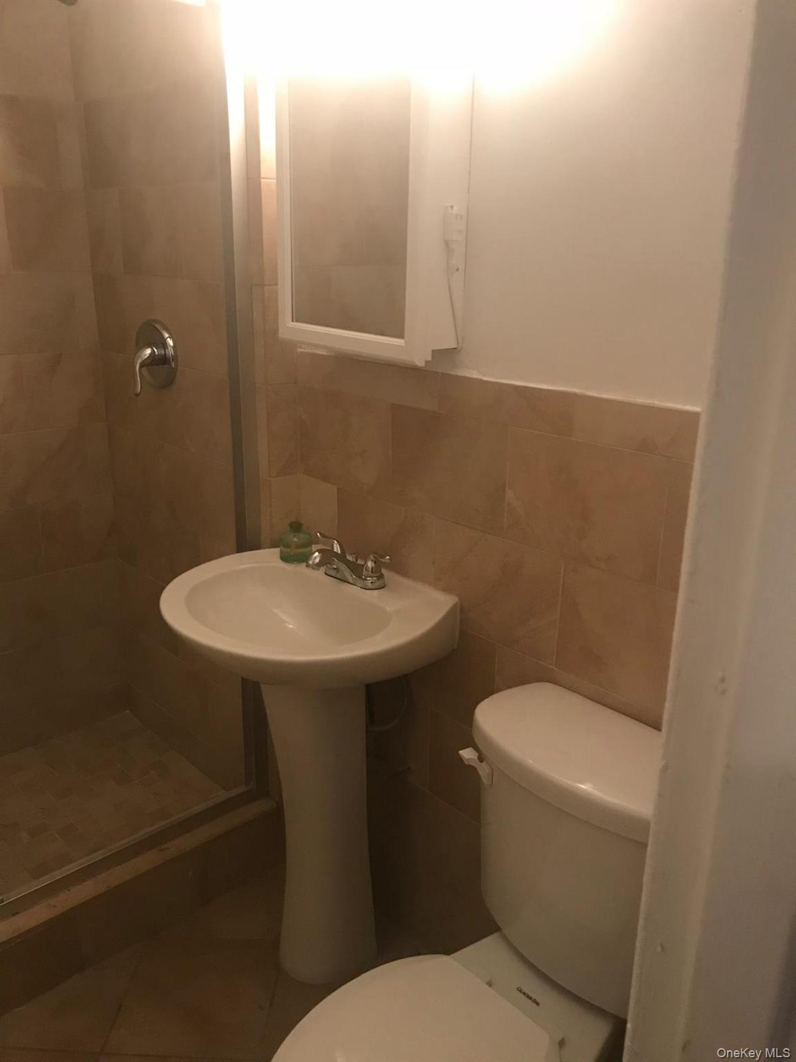 1332 Metropolitan Avenue, Unit 2A Bronx, NY 10462 - Photo 12 of 15 a bathroom with a sink a toilet and mirror