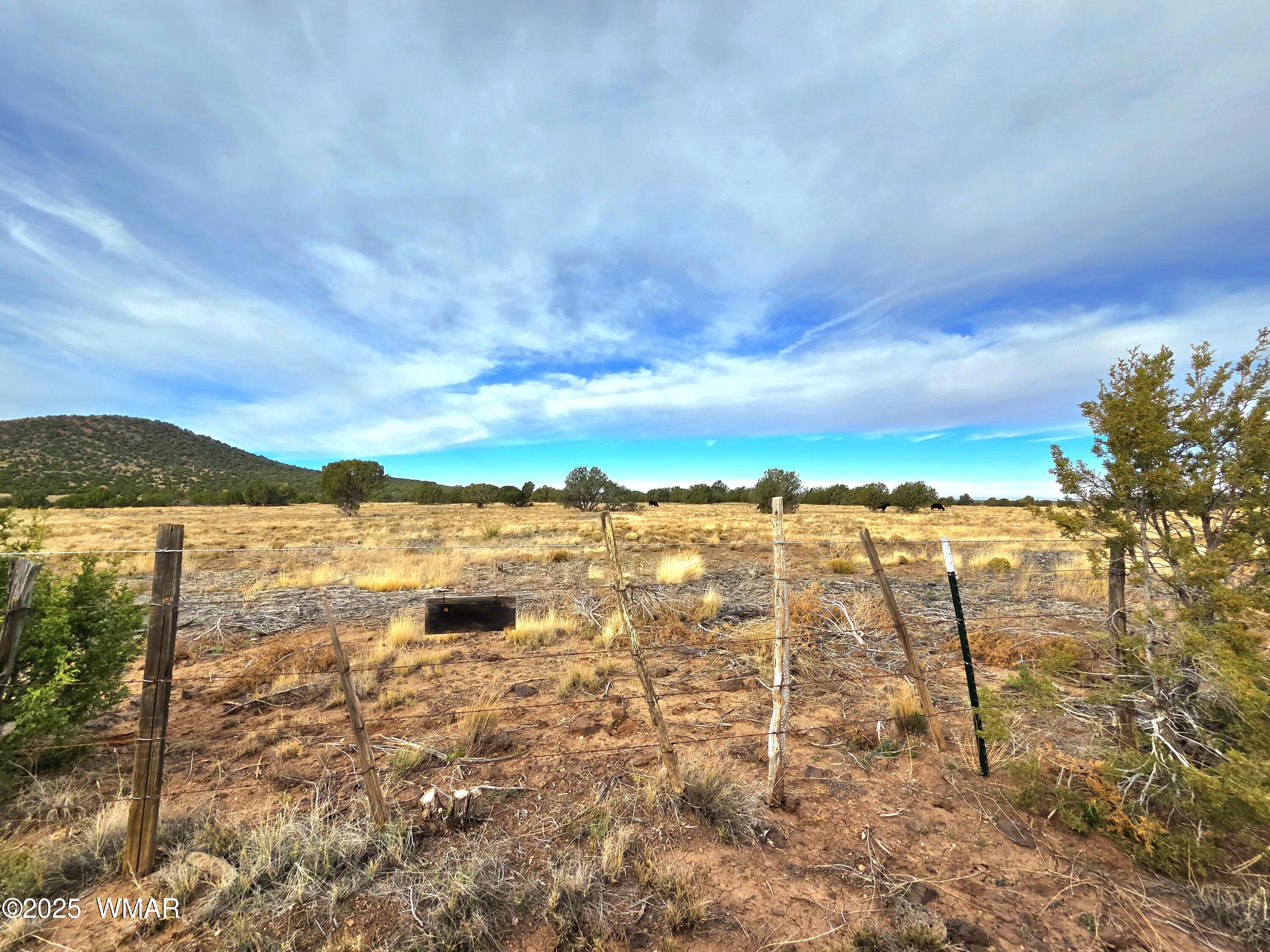 32-34 County Road Concho, AZ 85924 - Photo 67 of 72 State Land Views