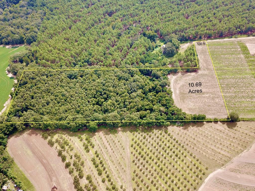 10.69-acres Summer Road Slocomb, AL 36375 - Photo 1 of 51