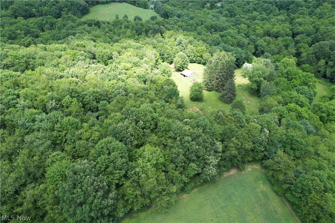 11811 Gaston Road Rogers, OH 44455 - Photo 5 of 38 WELCOME TO PARADISE! 11811 Gaston Rd. Negley/Rogers, OHIO sits on nearly 28 acres of land, with a functional and featured cabin to relax in! Not to mention the Q-Hut that's over 1,000 square feet and has electric, the horse arena is 50x80 and there's plenty of usable space that could be built out for your needs. Schedule your appointment today!