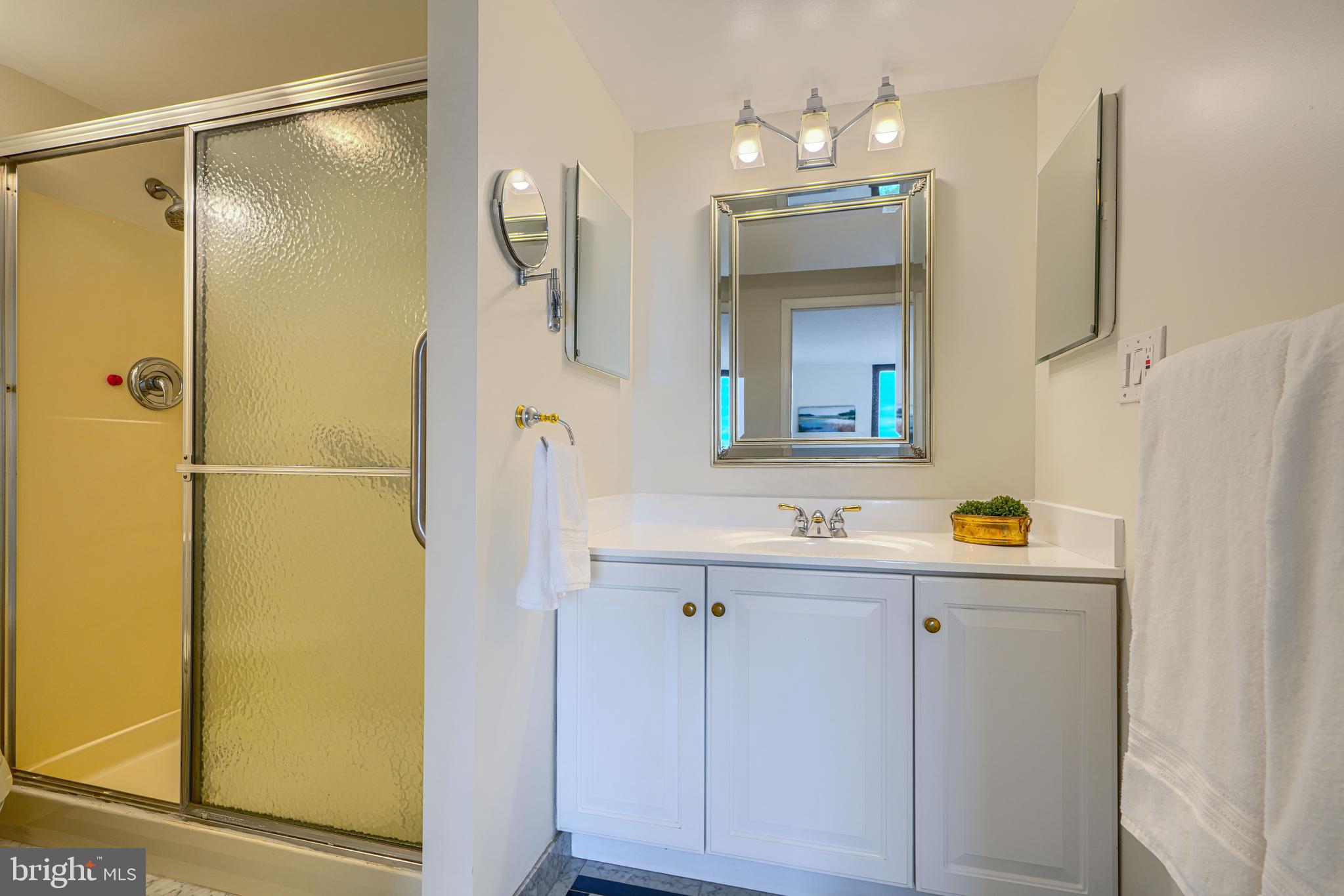 4100 North Charles Street, Unit 1010 Baltimore, MD 21218 - Photo 53 of 73 Primary ensuite bath