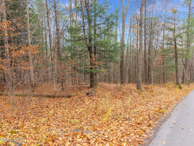 $42,900 | L1.1 Lassen Road, Middleburgh, NY 12122