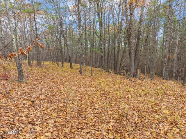 $42,900 | L1.1 Lassen Road, Middleburgh, NY 12122