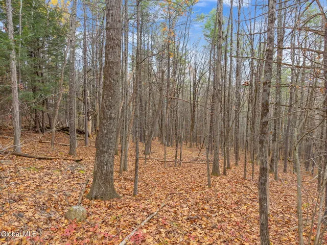 $42,900 | L1.1 Lassen Road, Middleburgh, NY 12122