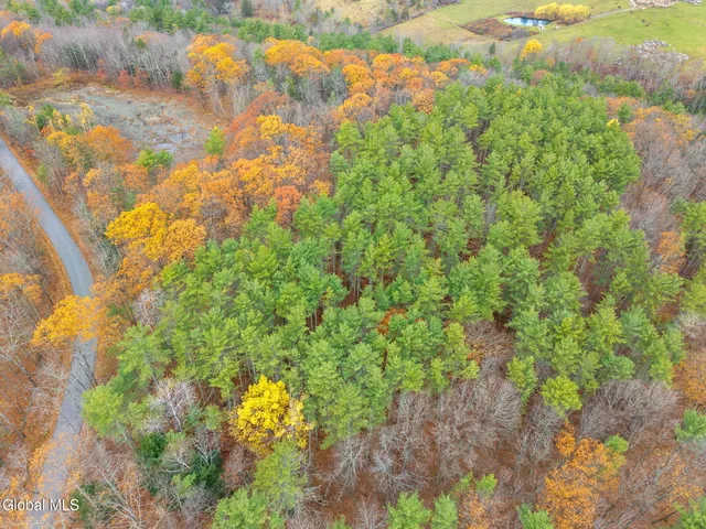 $42,900 | L1.1 Lassen Road, Middleburgh, NY 12122