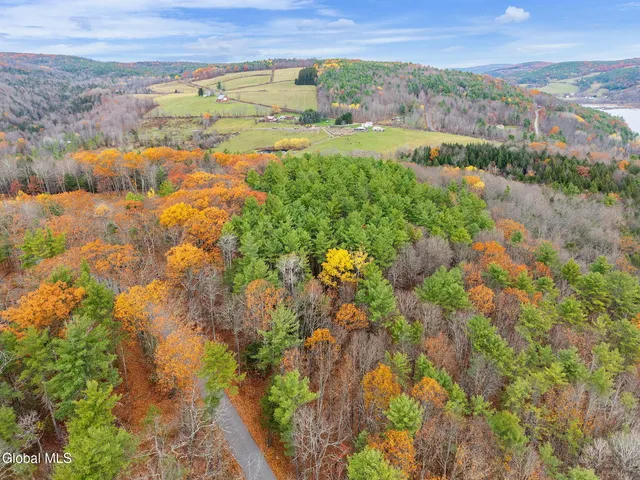 $42,900 | L1.1 Lassen Road, Middleburgh, NY 12122