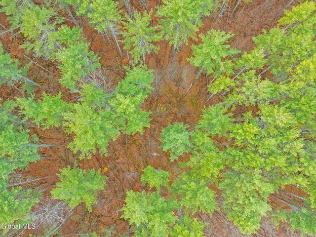 $42,900 | L1.1 Lassen Road, Middleburgh, NY 12122