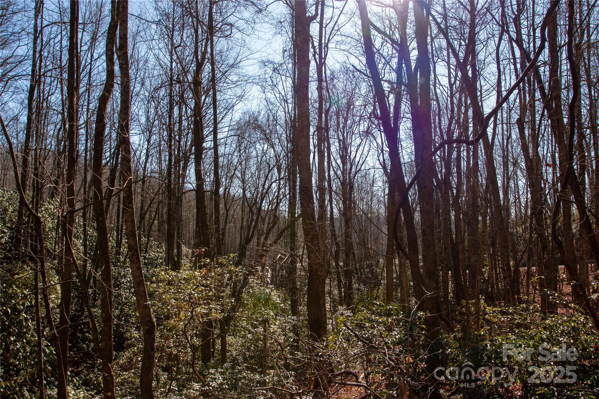 Lot 26 Big Branch Road Brevard, NC 28712 - Photo 11 of 25 a view of backyard of a building