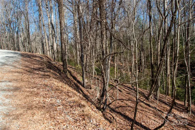 a backyard of a house