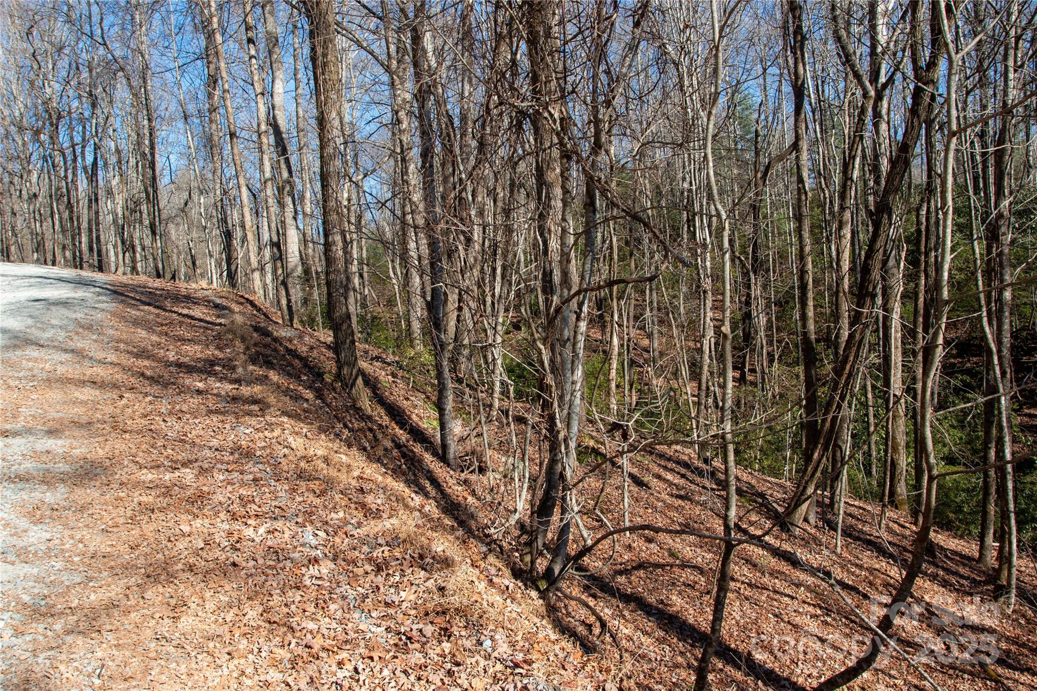 Lot 26 Big Branch Road Brevard, NC 28712 - Photo 16 of 25 a view of backyard with wooden fence