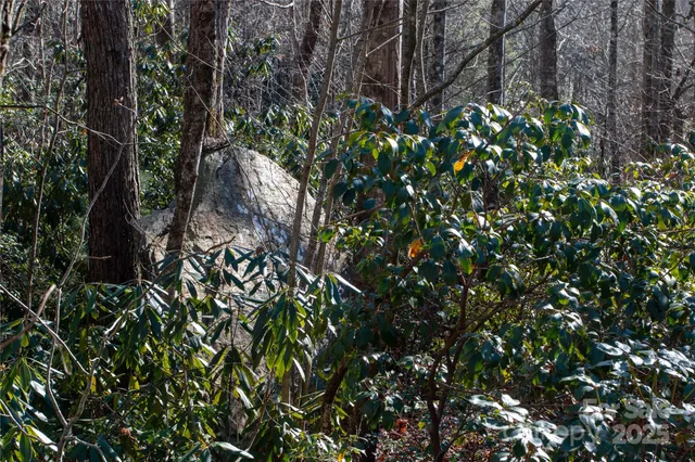 a backyard of a house with lots of trees