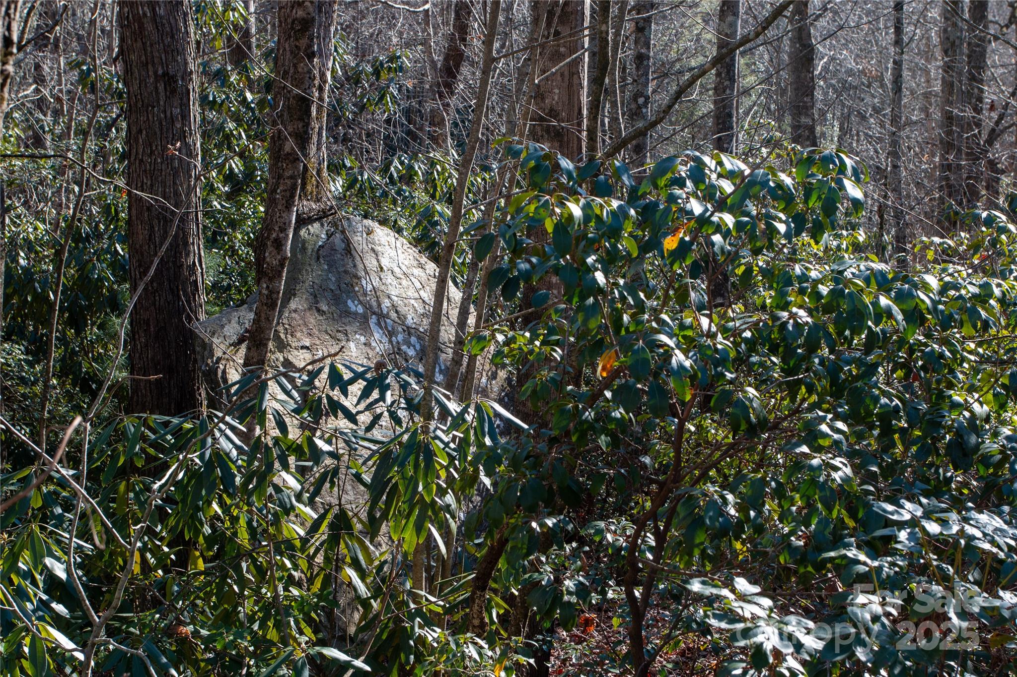 Lot 26 Big Branch Road Brevard, NC 28712 - Photo 17 of 25 a backyard of a house