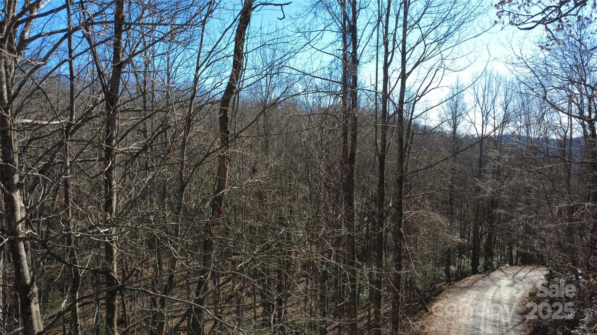Lot 26 Big Branch Road Brevard, NC 28712 - Photo 20 of 25 a view of forest