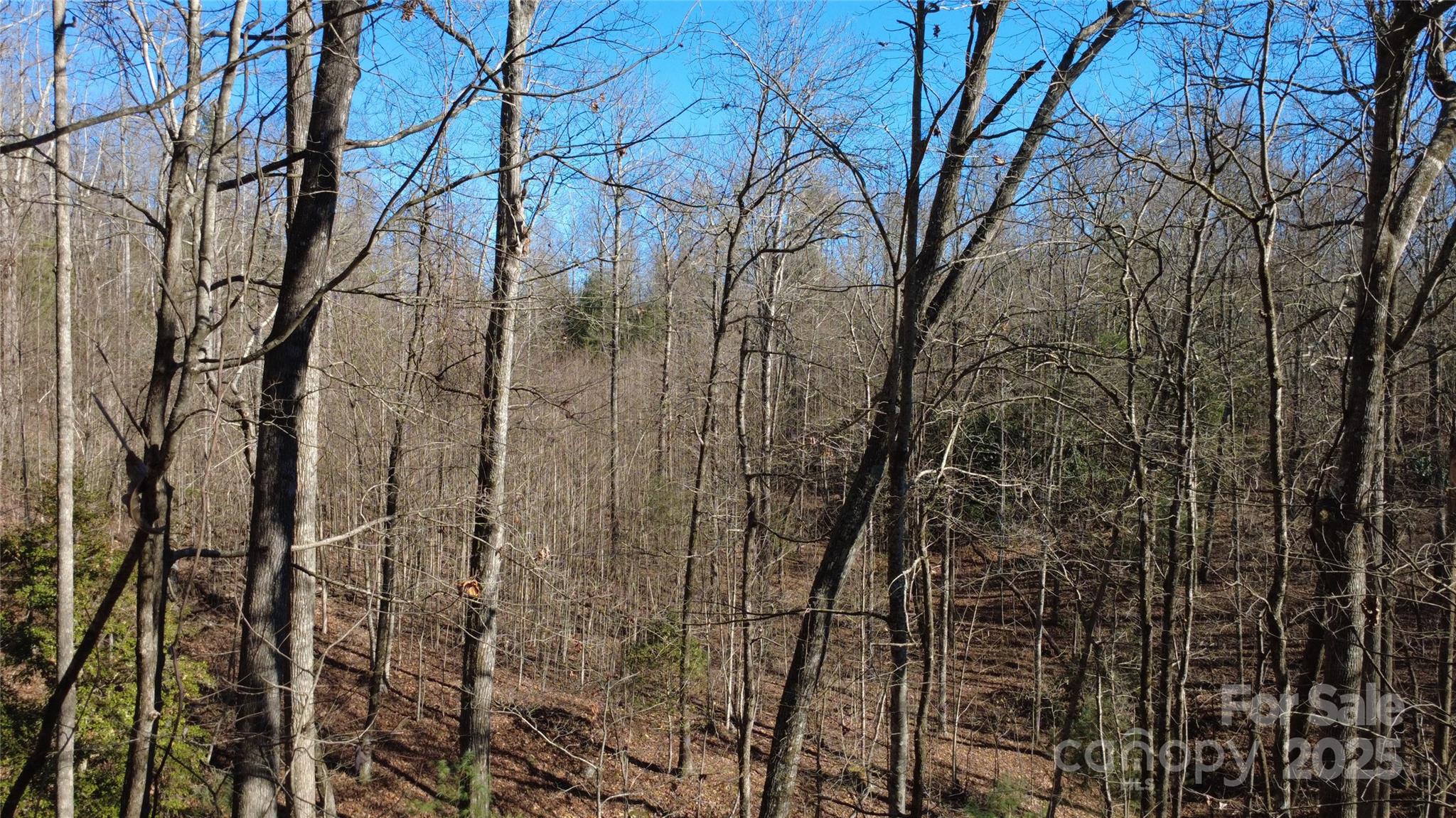 Lot 26 Big Branch Road Brevard, NC 28712 - Photo 22 of 25 a view of a yard