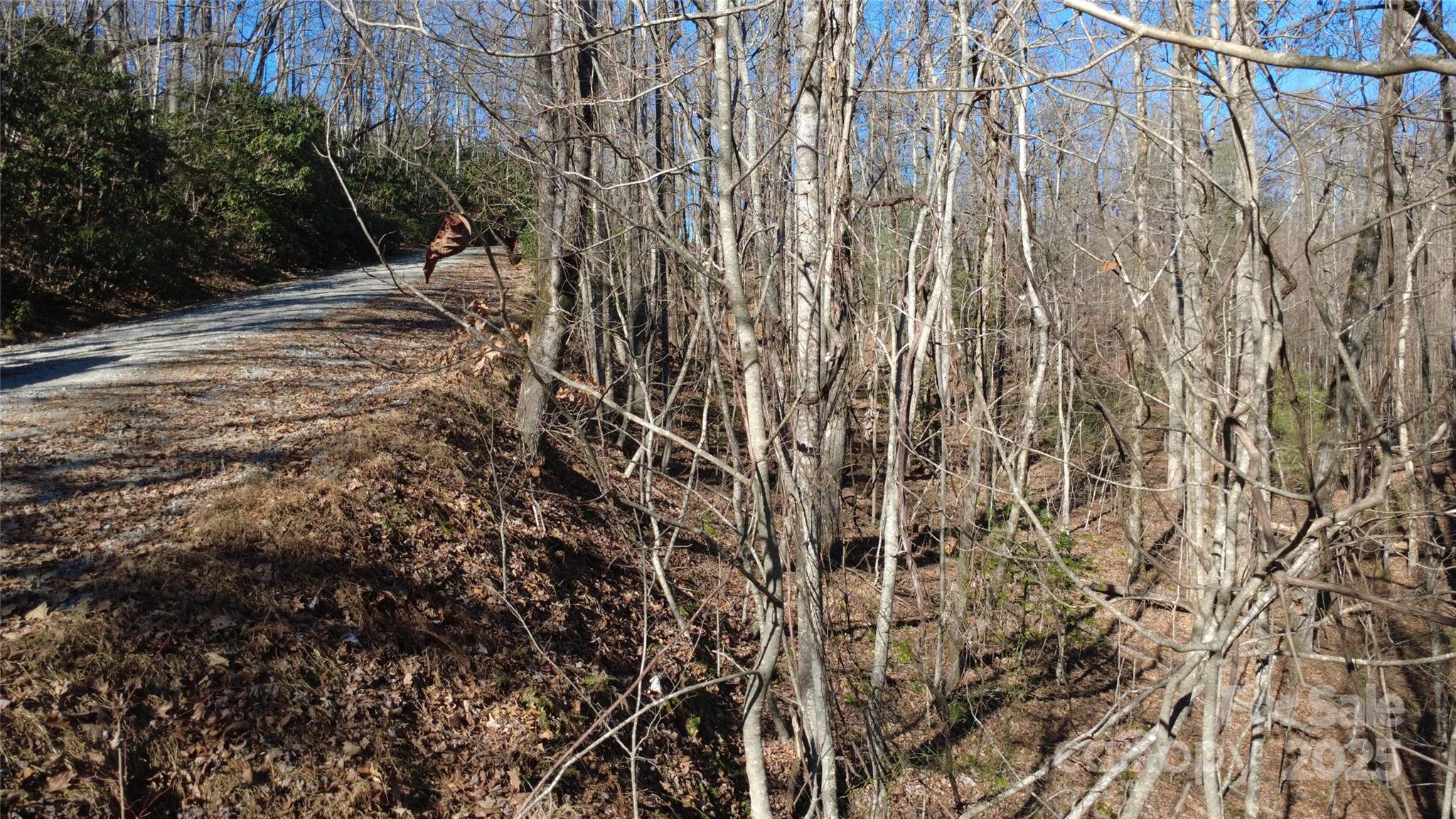 Lot 26 Big Branch Road Brevard, NC 28712 - Photo 23 of 25 a view of a backyard of the house