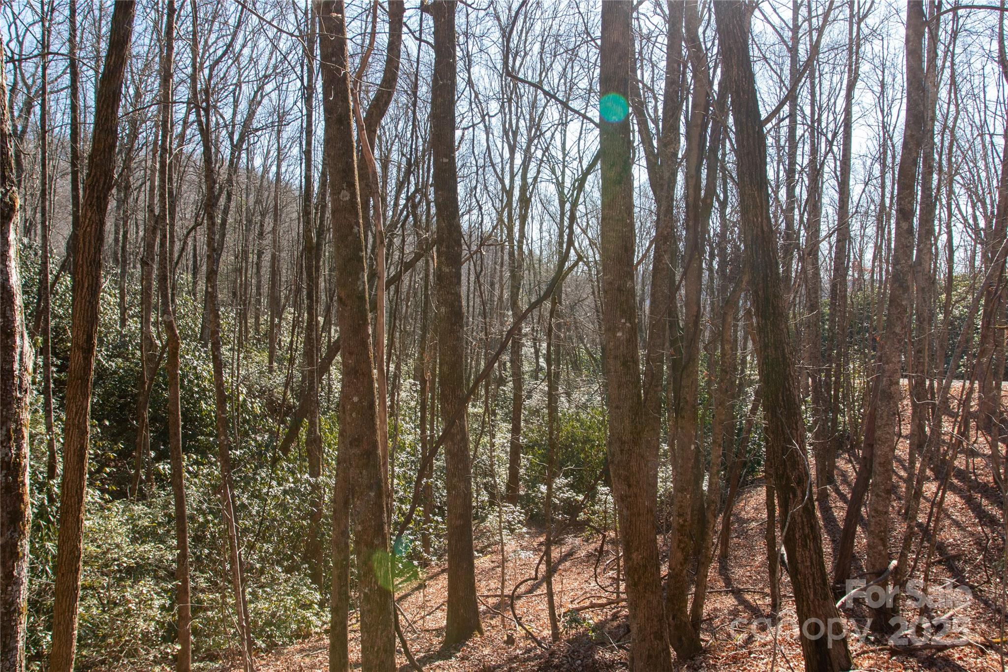 Lot 26 Big Branch Road Brevard, NC 28712 - Photo 4 of 25