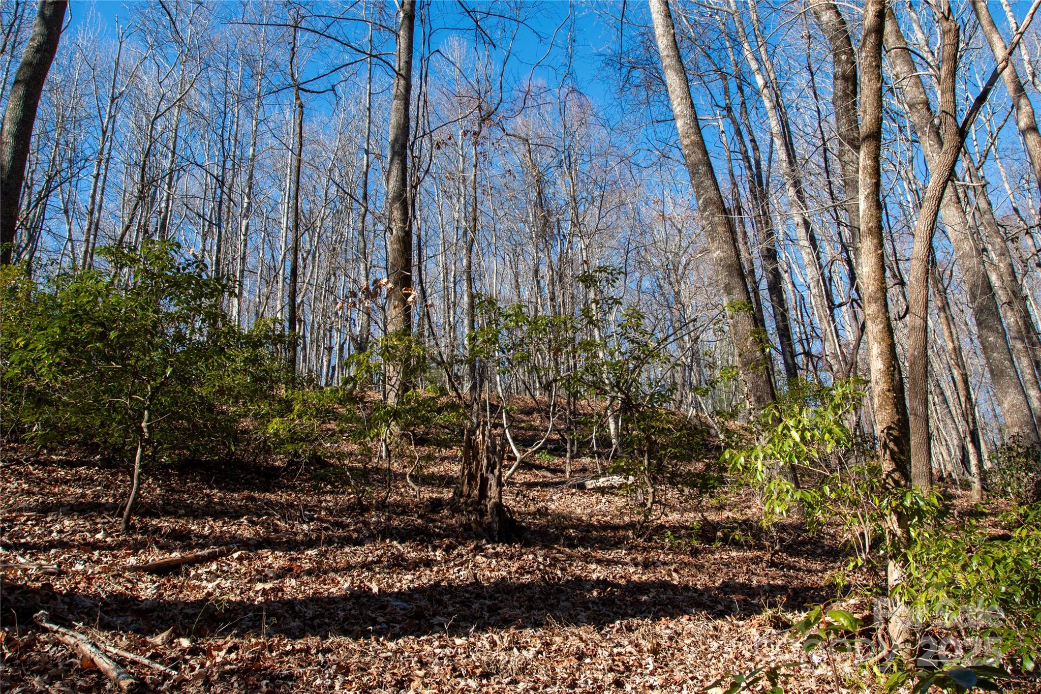 Lot 26 Big Branch Road Brevard, NC 28712 - Photo 6 of 25 a view of a yard