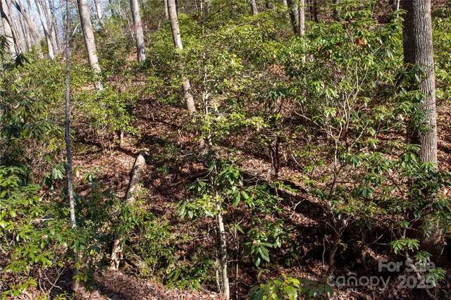 a view of outdoor space and a yard