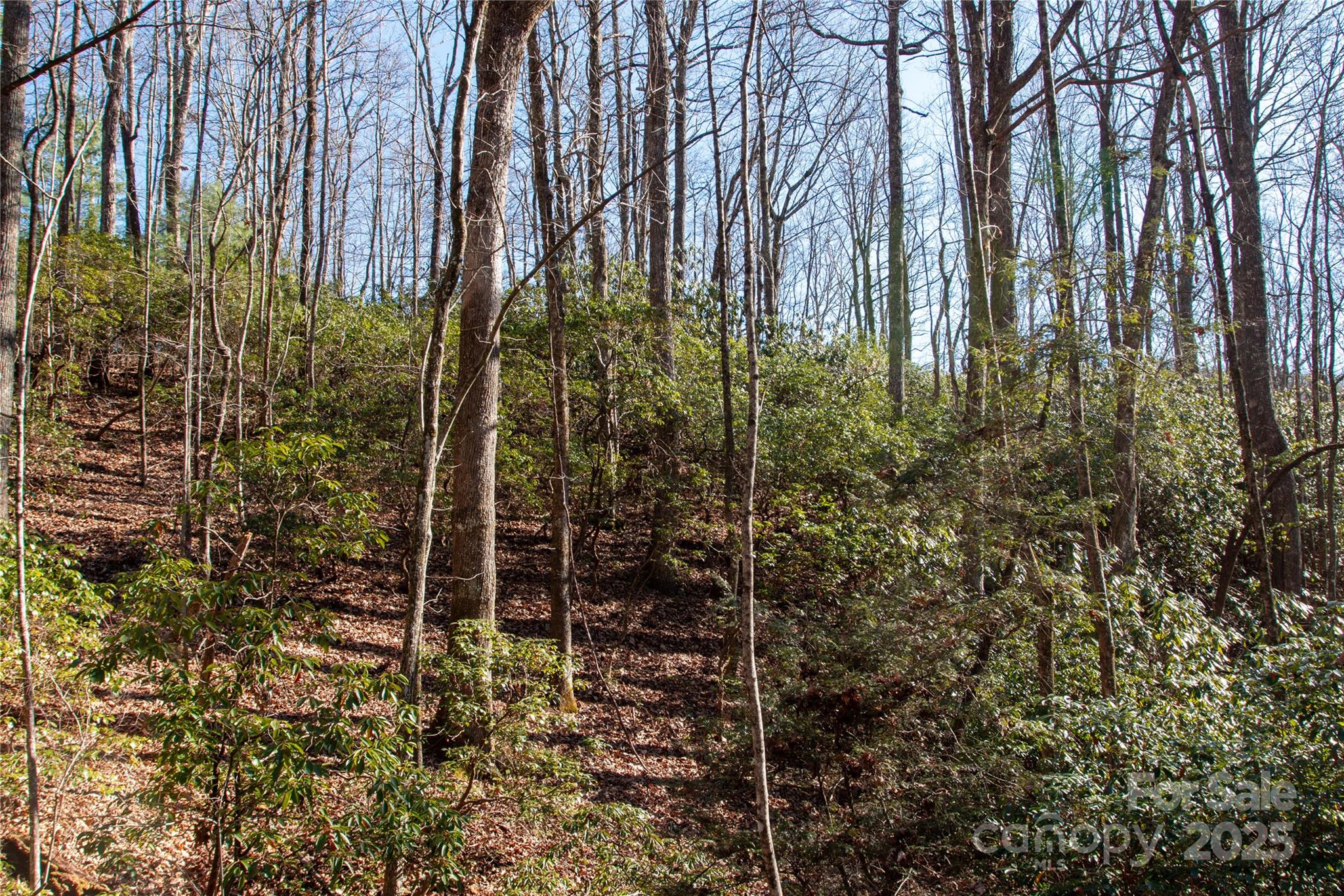 Lot 26 Big Branch Road Brevard, NC 28712 - Photo 8 of 25 a view of outdoor space and a yard