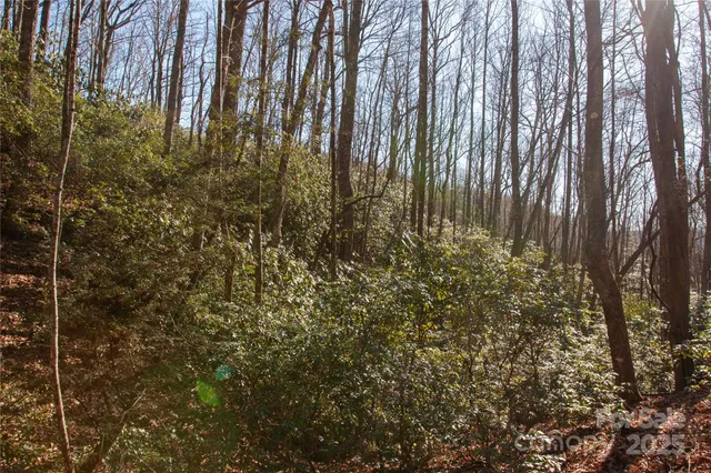 a view of outdoor space and a yard