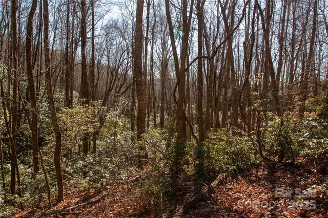 a view of backyard of a building